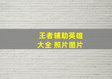 王者辅助英雄大全 照片图片